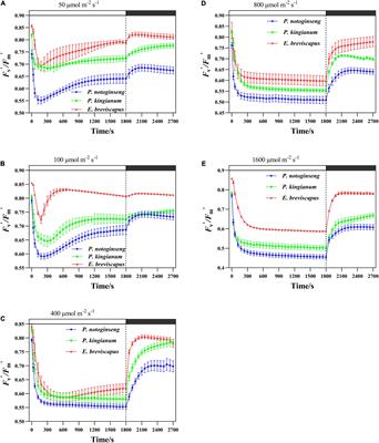 A Comparison of Photoprotective Mechanism in Different Light-Demanding Plants Under Dynamic Light Conditions